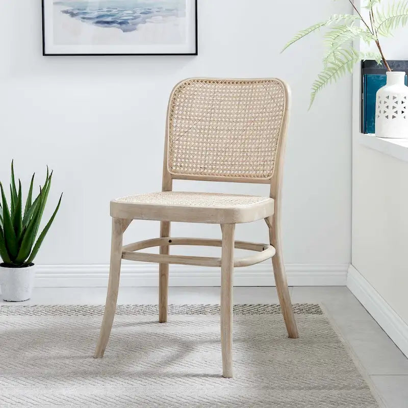 Lot de 2 chaises de salle à manger en bois avec dossier en rotin